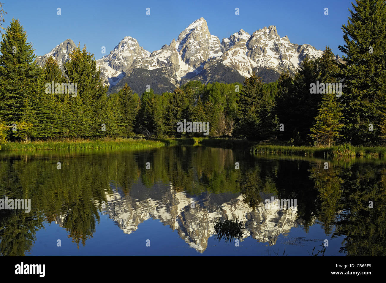 Grand Teton Reflexion Stockfoto