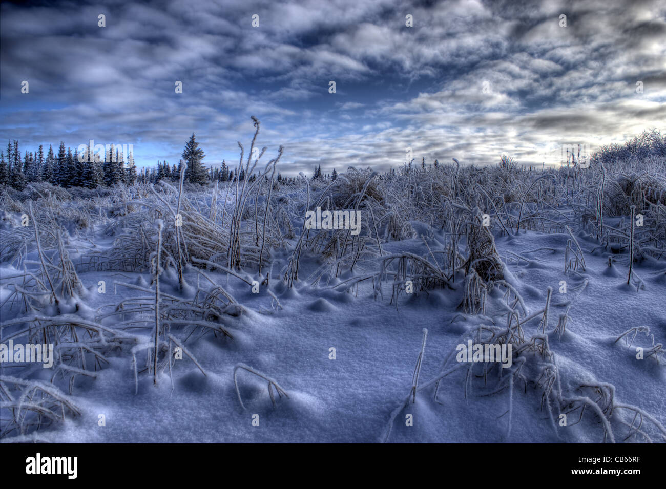 Alaska-Landschaft im Winter mit Neuschnee und dramatische Wolken bei Sonnenaufgang Stockfoto