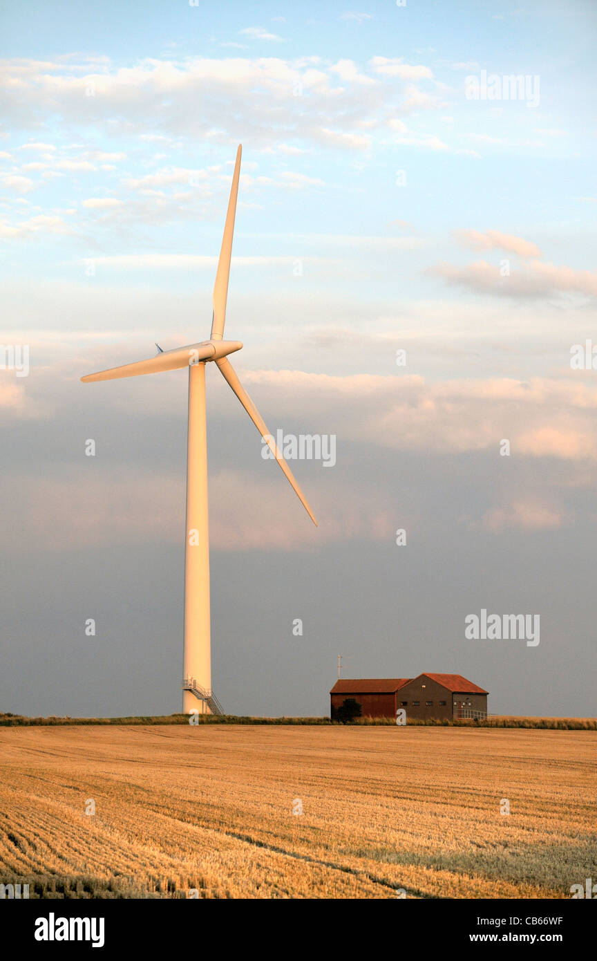 Bauernhof Windturbine auf reiche Ernte Boden Ackerland bei Easington, Holderness, East Yorkshire, an der Ostküste von England, UK Stockfoto