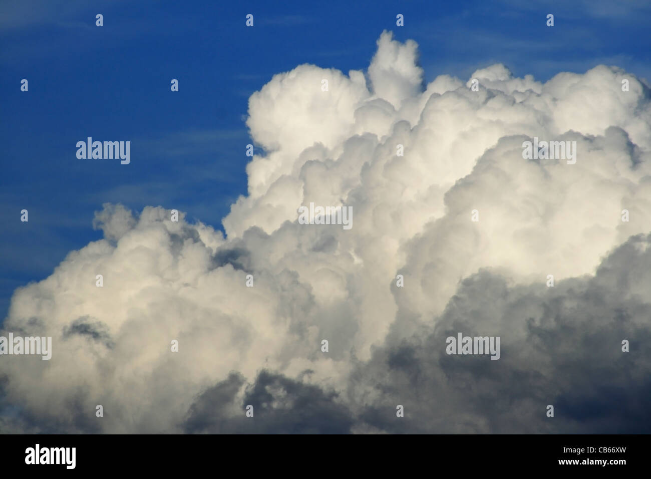 Detail der geschwollenen Cloud vor blauem Himmel Stockfoto