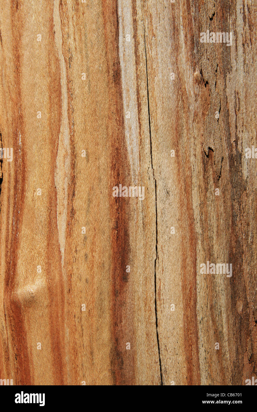 Braun und Tan Holz Hintergrund mit Streifen Stockfoto