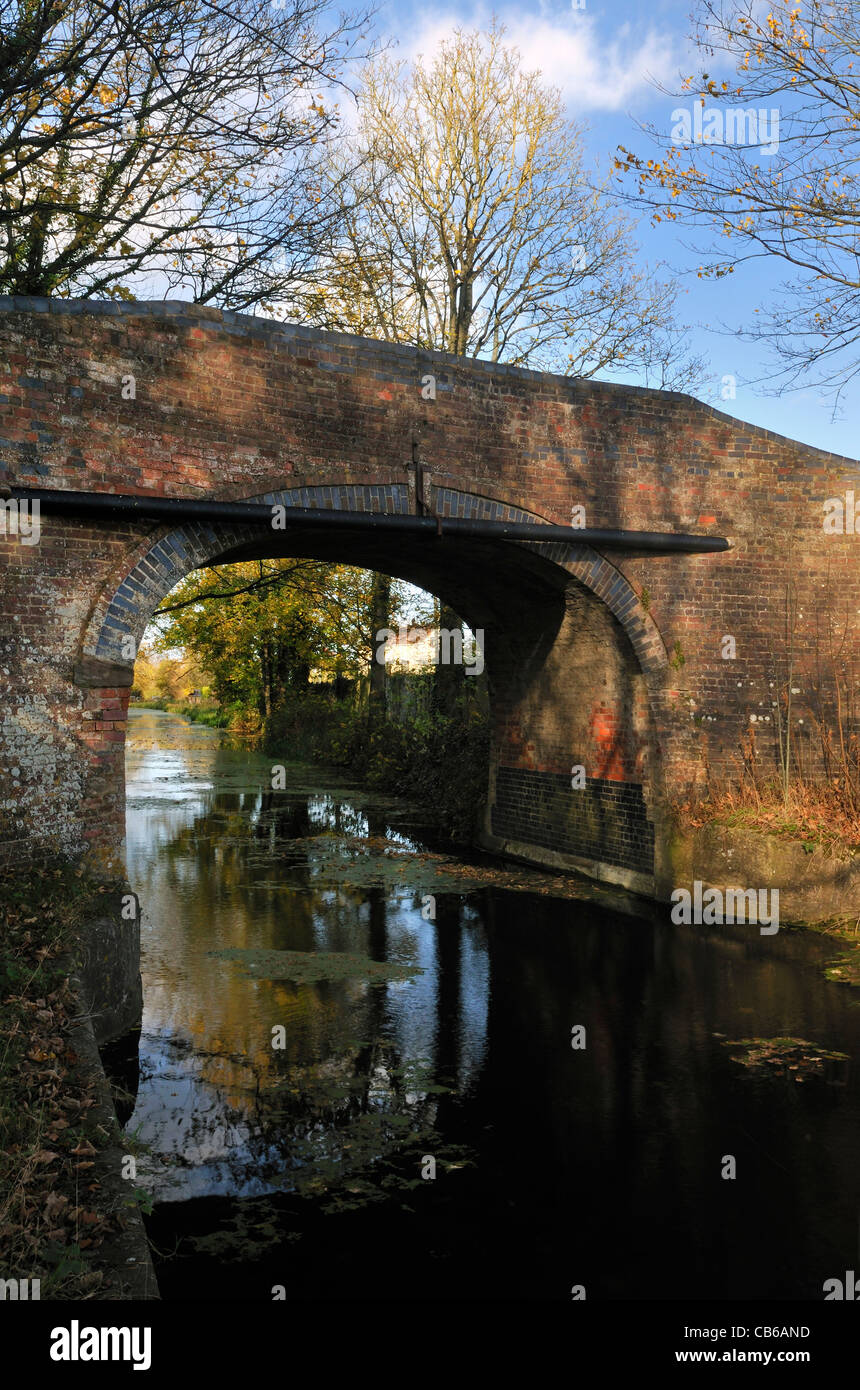Newtown Roving Brücke, Stroudwater Navigation Canal, Gloucestershire. Kanal derzeit in Restaurierung Stockfoto