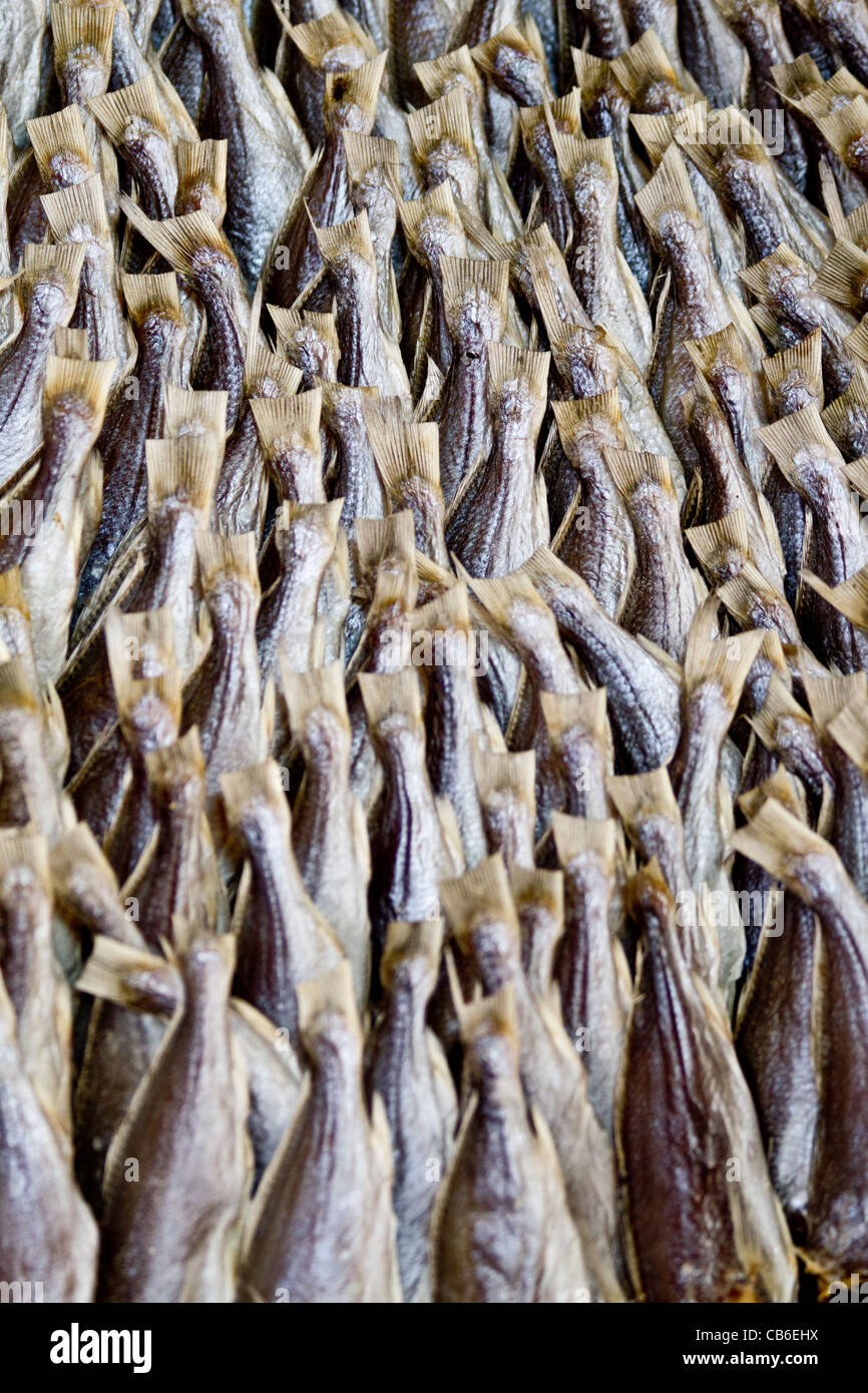 Getrocknete Fische auf einem Fischmarkt in Thailand Stockfoto