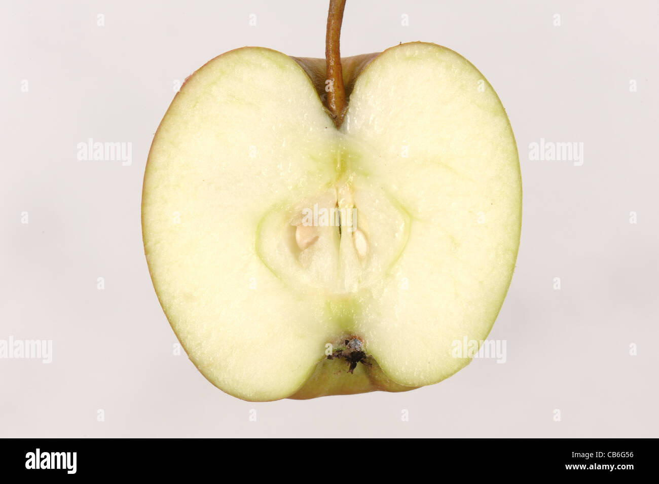 Bramley Apfel Obst Längsschnitt zeigt Samen Stockfoto