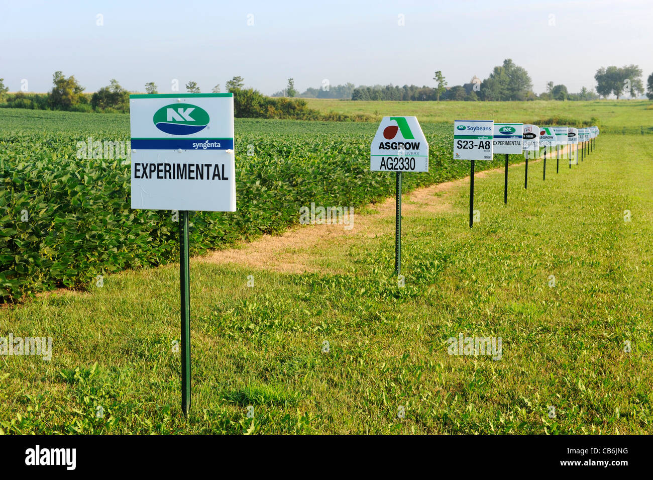 Iowa Saatgut Vielfalt Bauernhof Testfeld fr Saatgut Mais Soja Luzerne und  Feld Samen Stockfotografie - Alamy