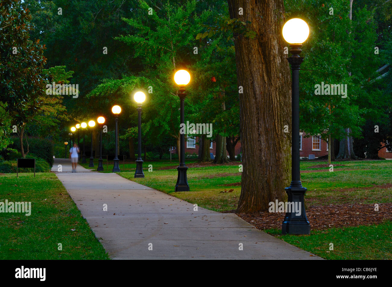 Campus des College an der University of Georgia in Athens, Georgia. Stockfoto