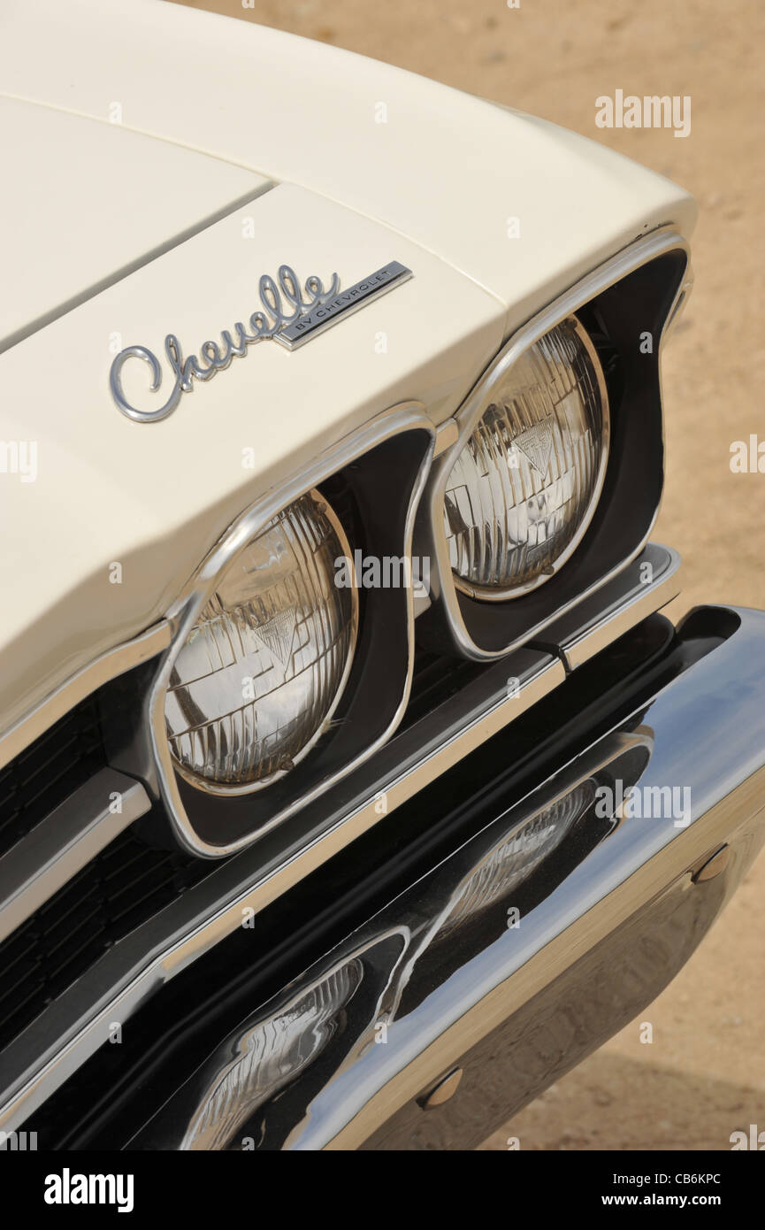 1969 Chevrollet Chevelle Yenko Sportwagen dokumentiert Doppel COPO, 9562 427 und 9737 Yenko Sportwagen, Motorhaube Induktion Stockfoto