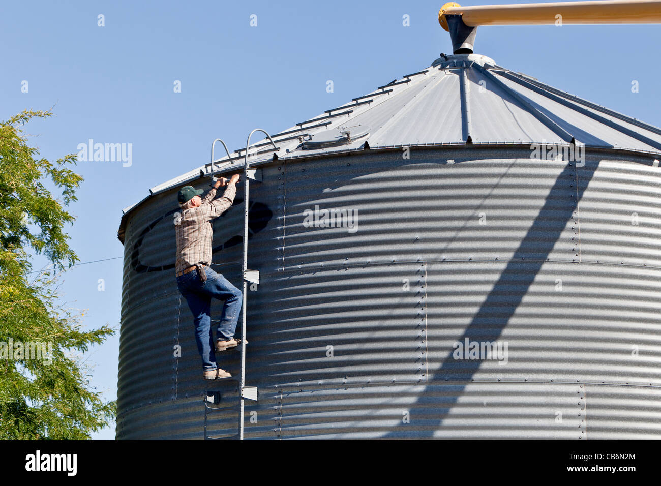 Weizen Landwirt klettern Leiter, Getreidelagerung bin. Stockfoto