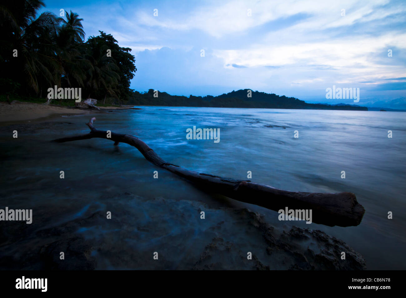 Angespült Ast bei Sonnenuntergang am Strand in Puerto Viejo, Costa Rica Stockfoto