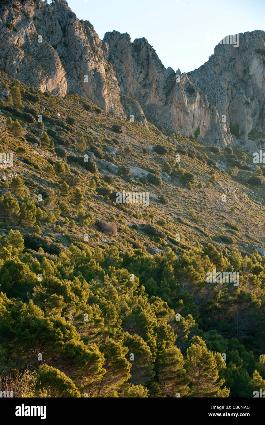 Sierra de Bernia Ridge, Provinz Alicante, Costa Blanca, Spanien Stockfoto