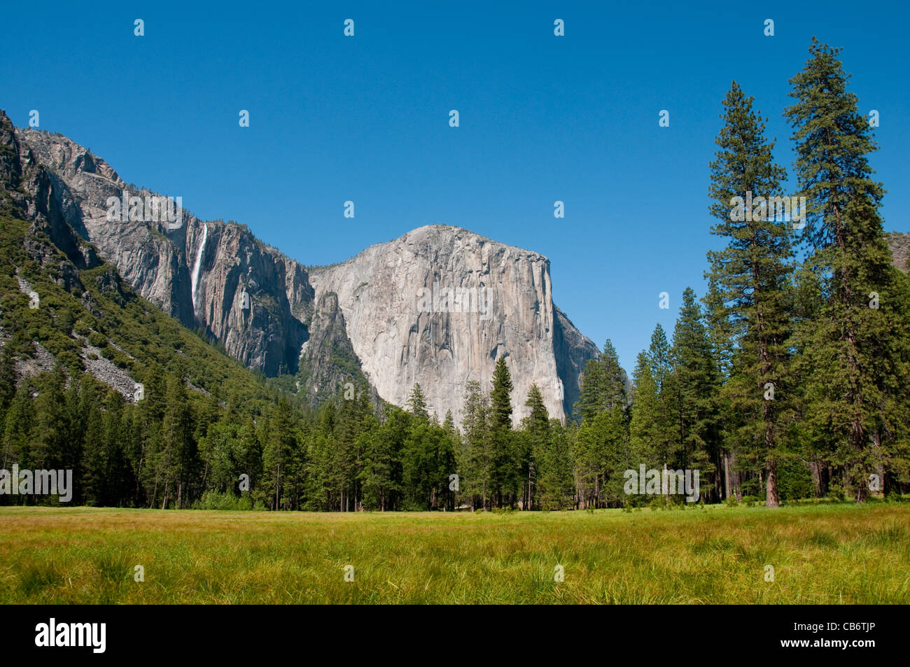 El Capitan, Wiese und Ribbon Falls im Yosemite Valley in Kalifornien Yosemite-Nationalpark Stockfoto