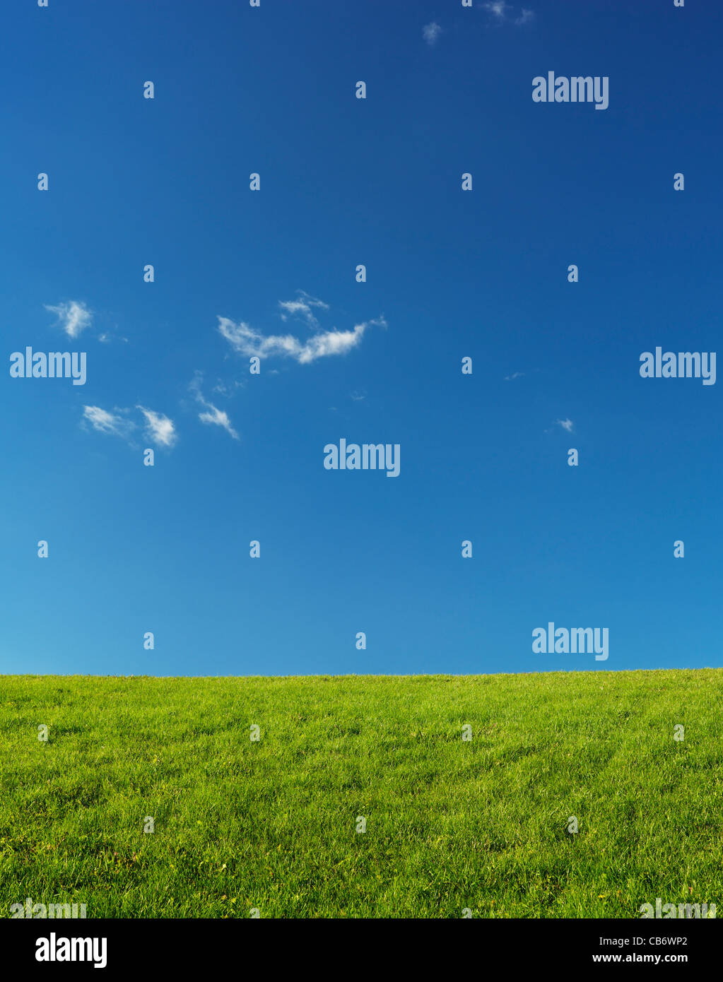 Grüne Wiesen Landschaft unter blauen Himmel von Sonnenlicht beleuchtet. Natur-Kulisse-Hintergrund. Stockfoto