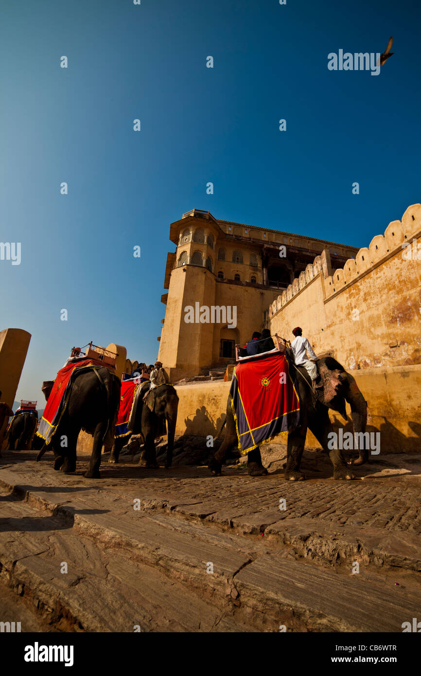 Amber Fort bunte Jaipur Denkmal mughal Stockfoto