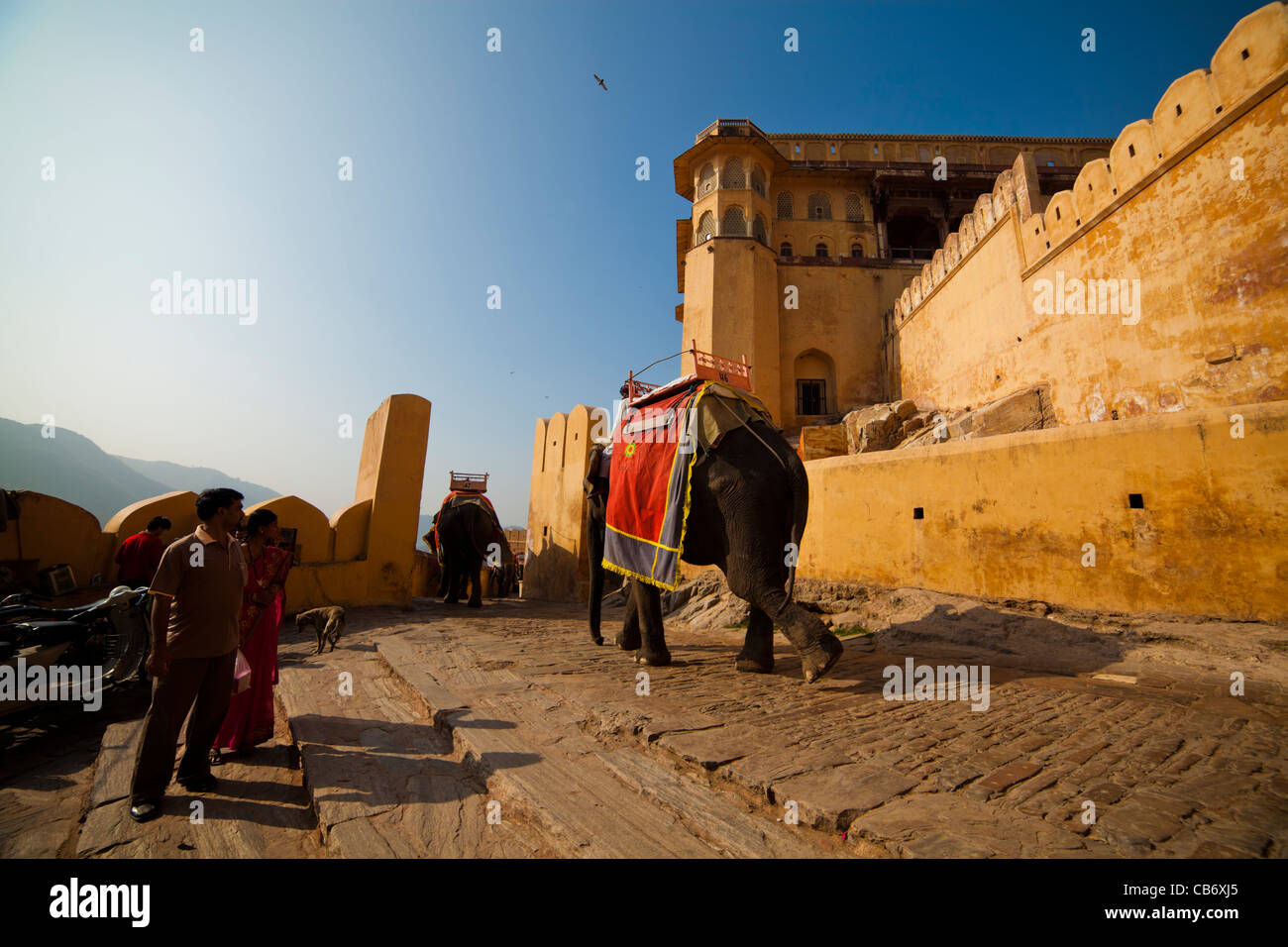 Amber Fort bunte Jaipur Denkmal mughal Stockfoto