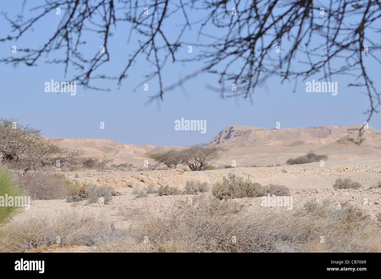 Israel, Aravah Wüstenlandschaft Stockfoto
