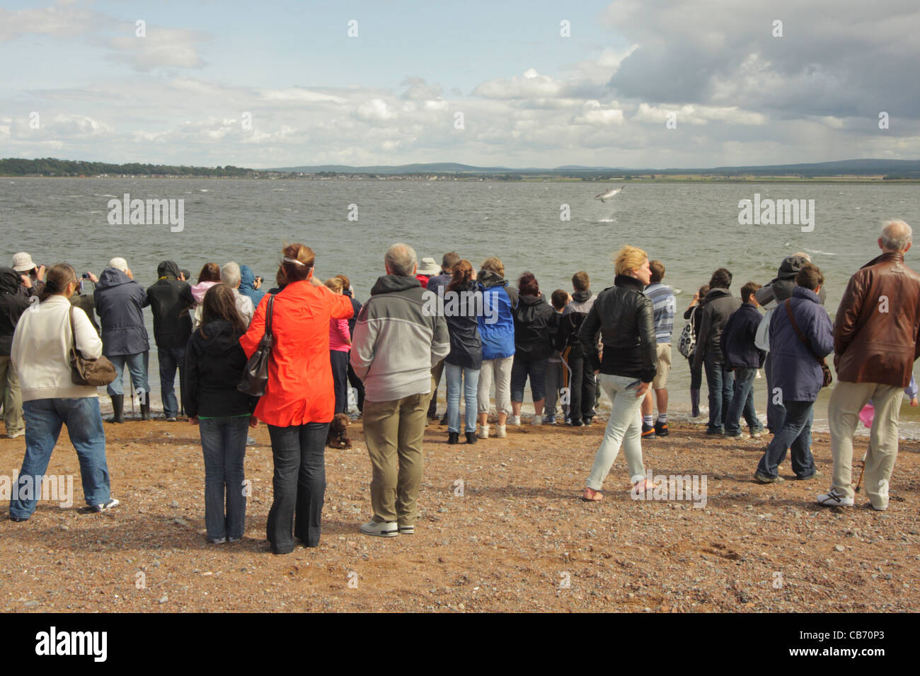 Menschen beobachten Flasche – Nosed Dolphin UK Stockfoto