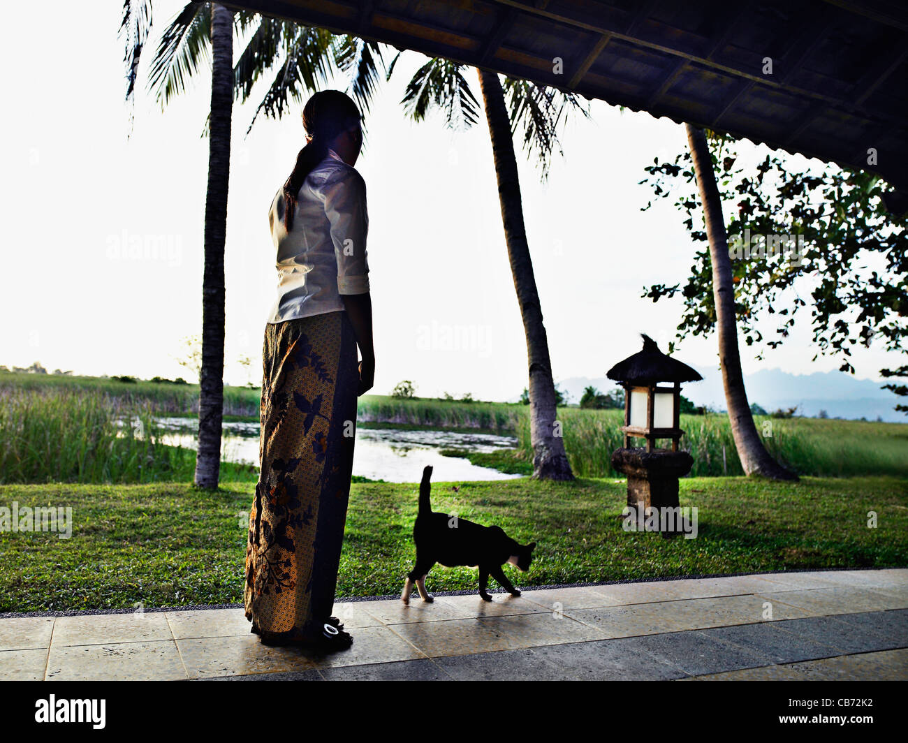 einheimische Frau betrachten über Reis Feld Malaysia Stockfoto