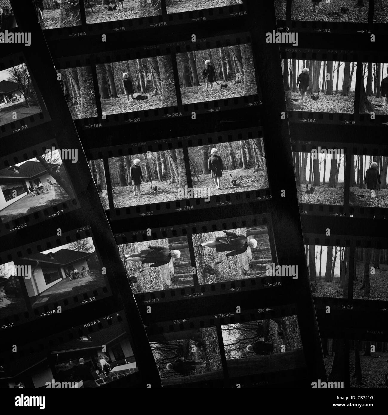Kontaktabzüge in schwarz und weiß aus den 1960er Jahren Stockfoto Kontaktabzüge in schwarz und weiß aus den 1960er Jahren Stockfoto