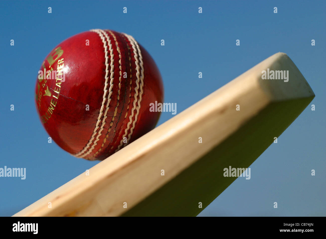 Cricket-Schläger und Ball, Sportgeräte schließen USV Stockfoto