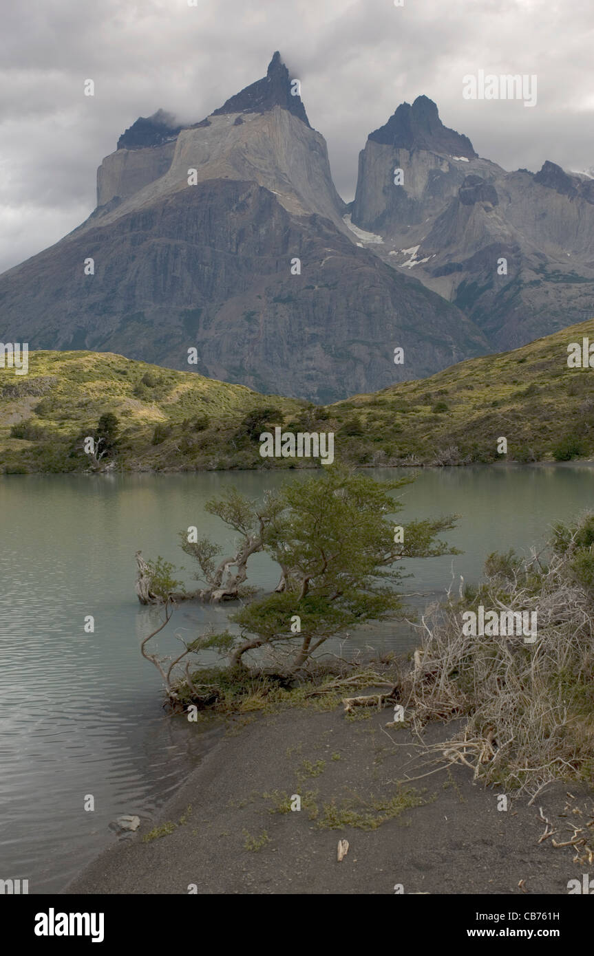 Das Paine-massiv in Chiles Torres del Paine Nationalpark ist einer der weltweit schönsten geographischen Merkmalen. Stockfoto