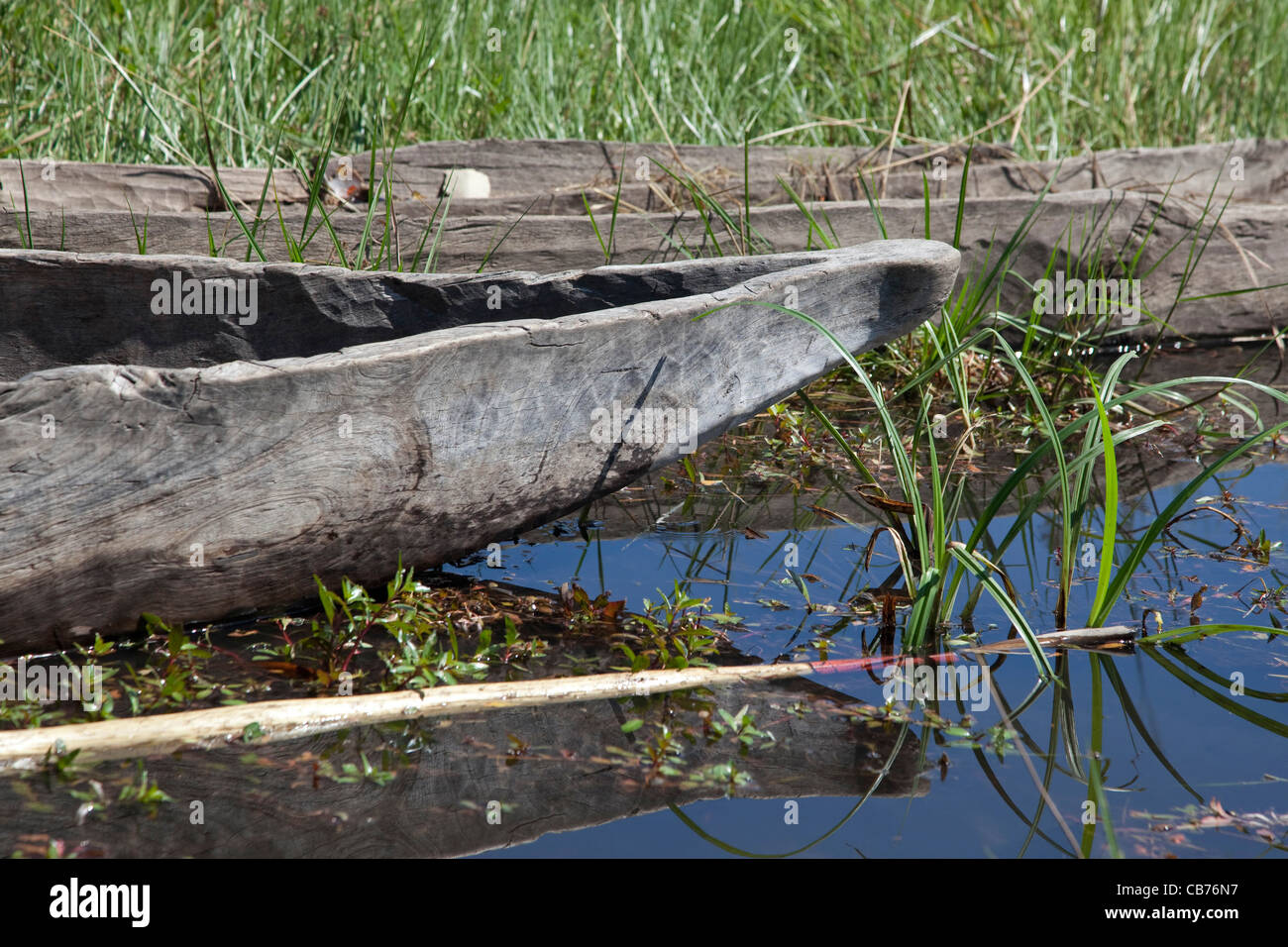 Traditionellen hölzernen Kanus, Mokoros / Makoros in das Okavango Delta, Botswana, Afrika Stockfoto
