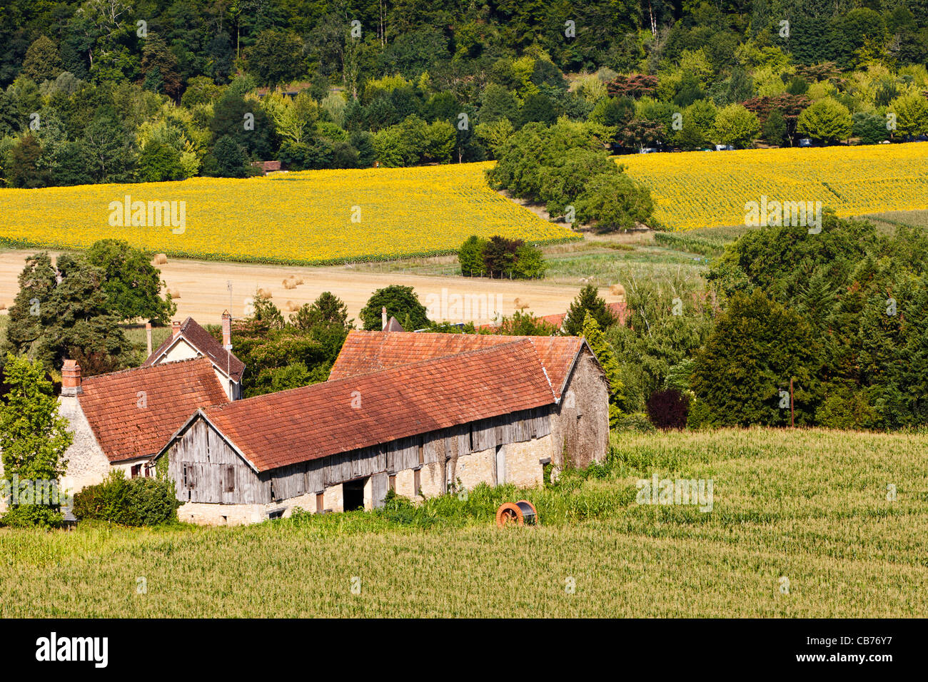 Bauernhaus und Scheune in Dordogne, Frankreich, Europa Stockfoto