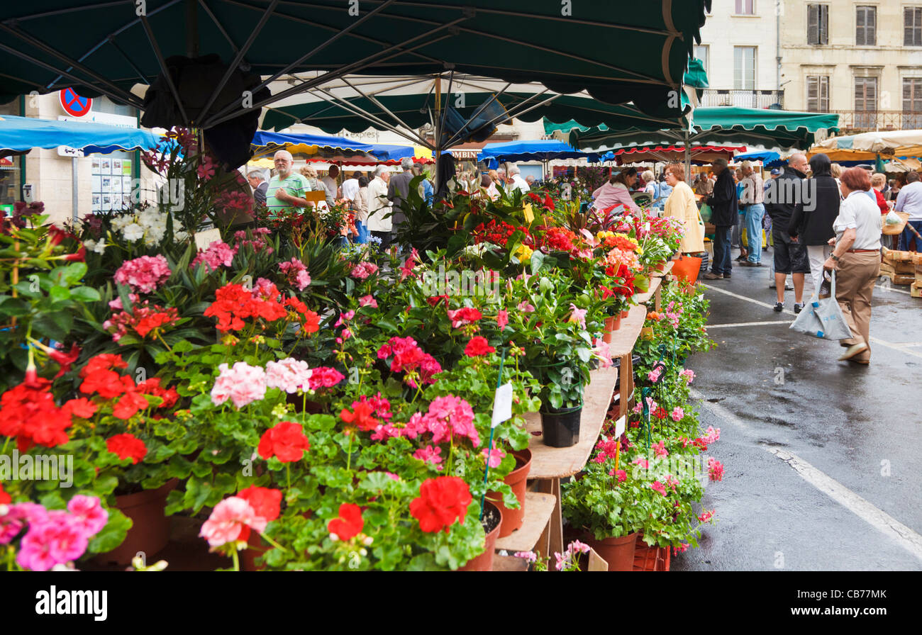 Markt in Perigueux, Dordogne, Aquitaine, Frankreich, Europa Stockfoto