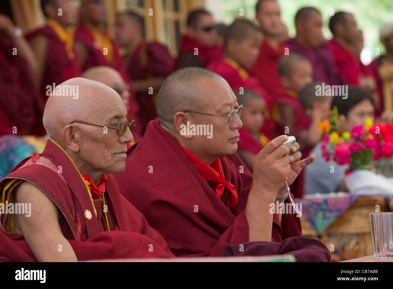 Abt des Phayang-Klosters bei einem Festival zu feiern seinen Geburtstag am Phayang Gompa, (Ladakh) Jammu & Kaschmir, Indien Stockfoto