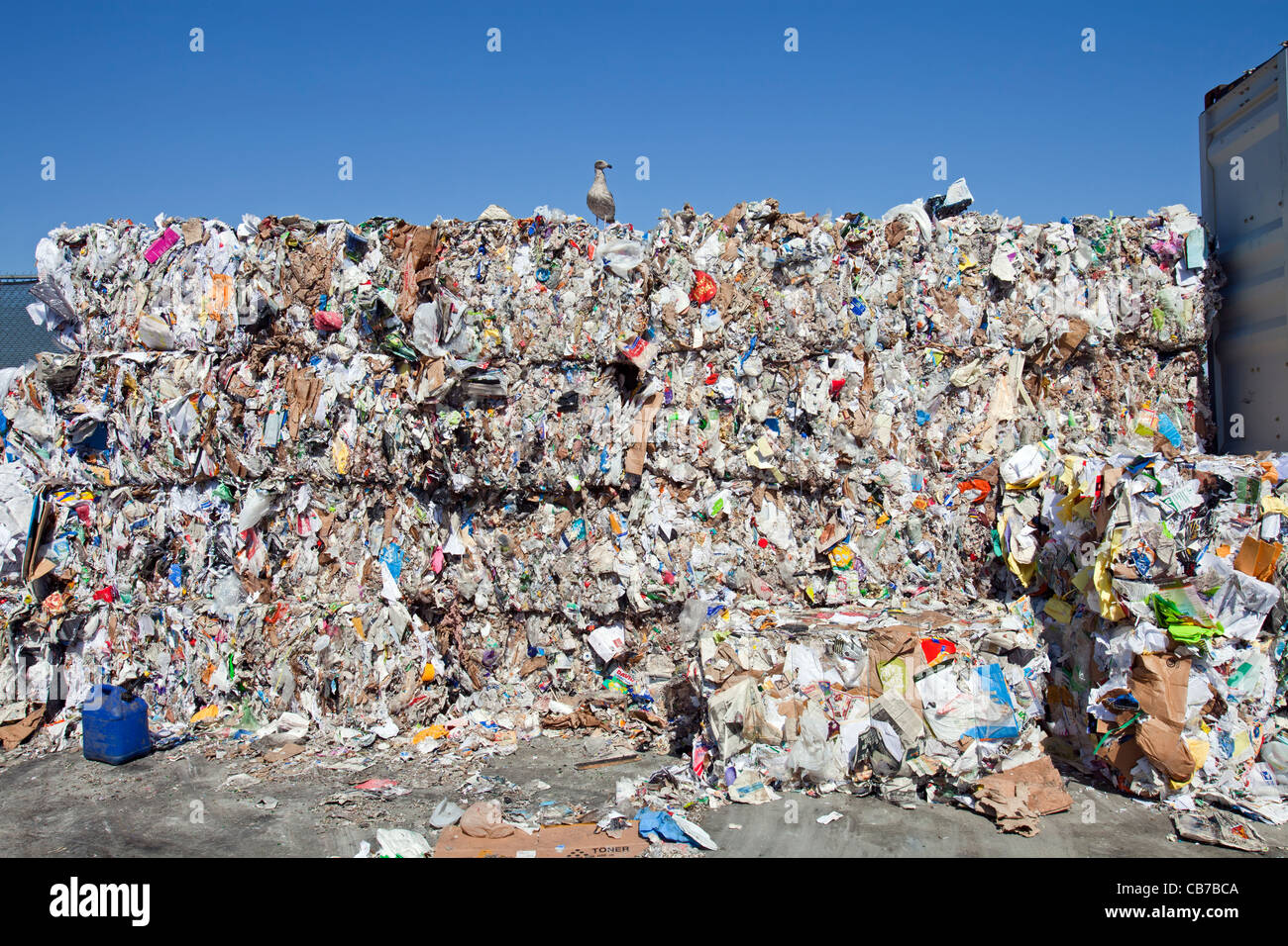 Stapel von Papier. Recycling-Center, Los Angeles, Kalifornien, USA Stockfoto