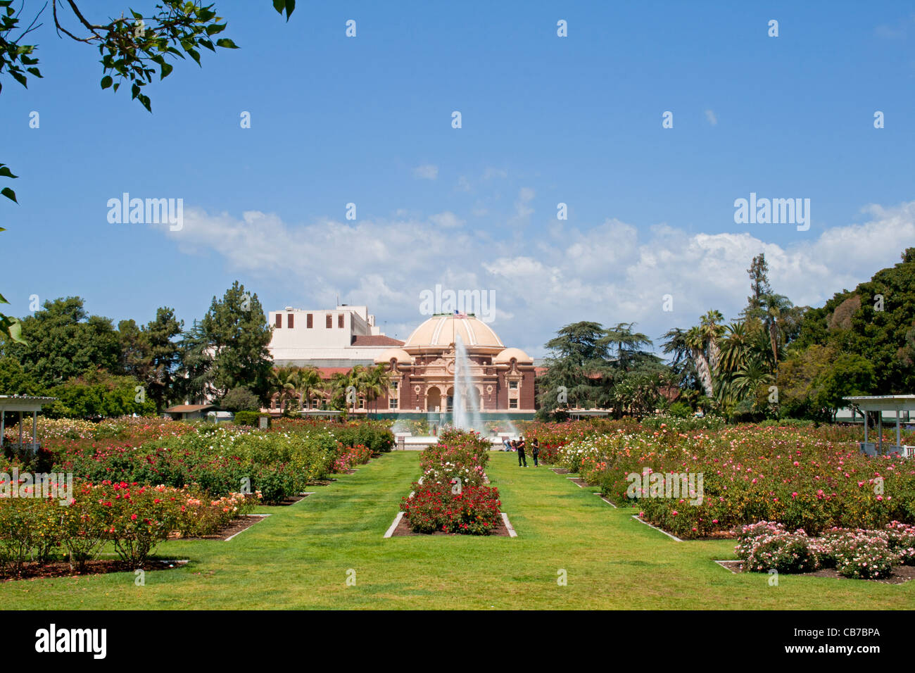 Rosengarten Exposition Park Los Angeles Kalifornien La