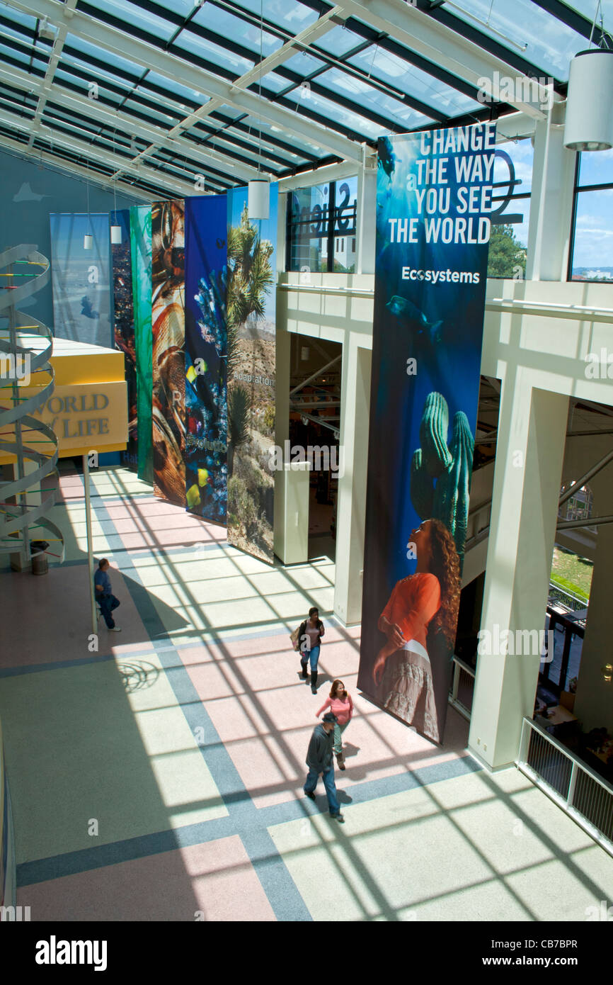 Ökosysteme auf der California Science Center im Exposition Park ausstellen. Los Angeles, Kalifornien, USA Stockfoto