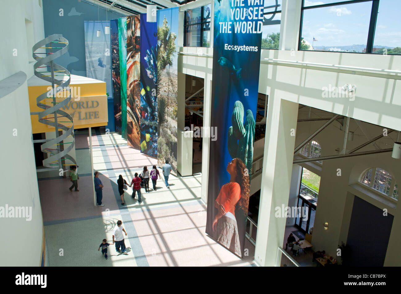 Ökosysteme auf der California Science Center im Exposition Park ausstellen. Los Angeles, Kalifornien, USA Stockfoto