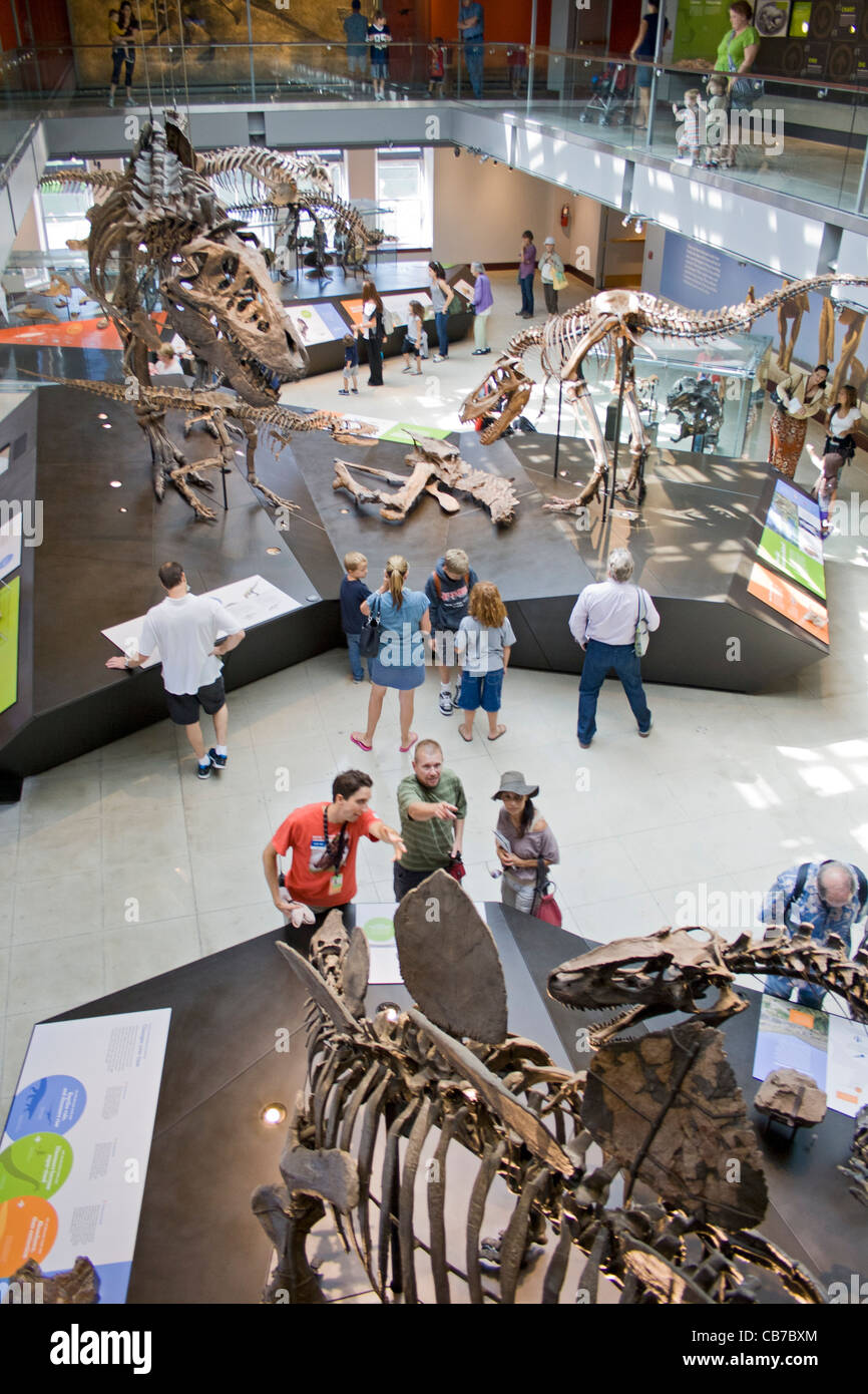 Sauriersaal, Natural History Museum, Los Angeles, Kalifornien, USA Stockfoto