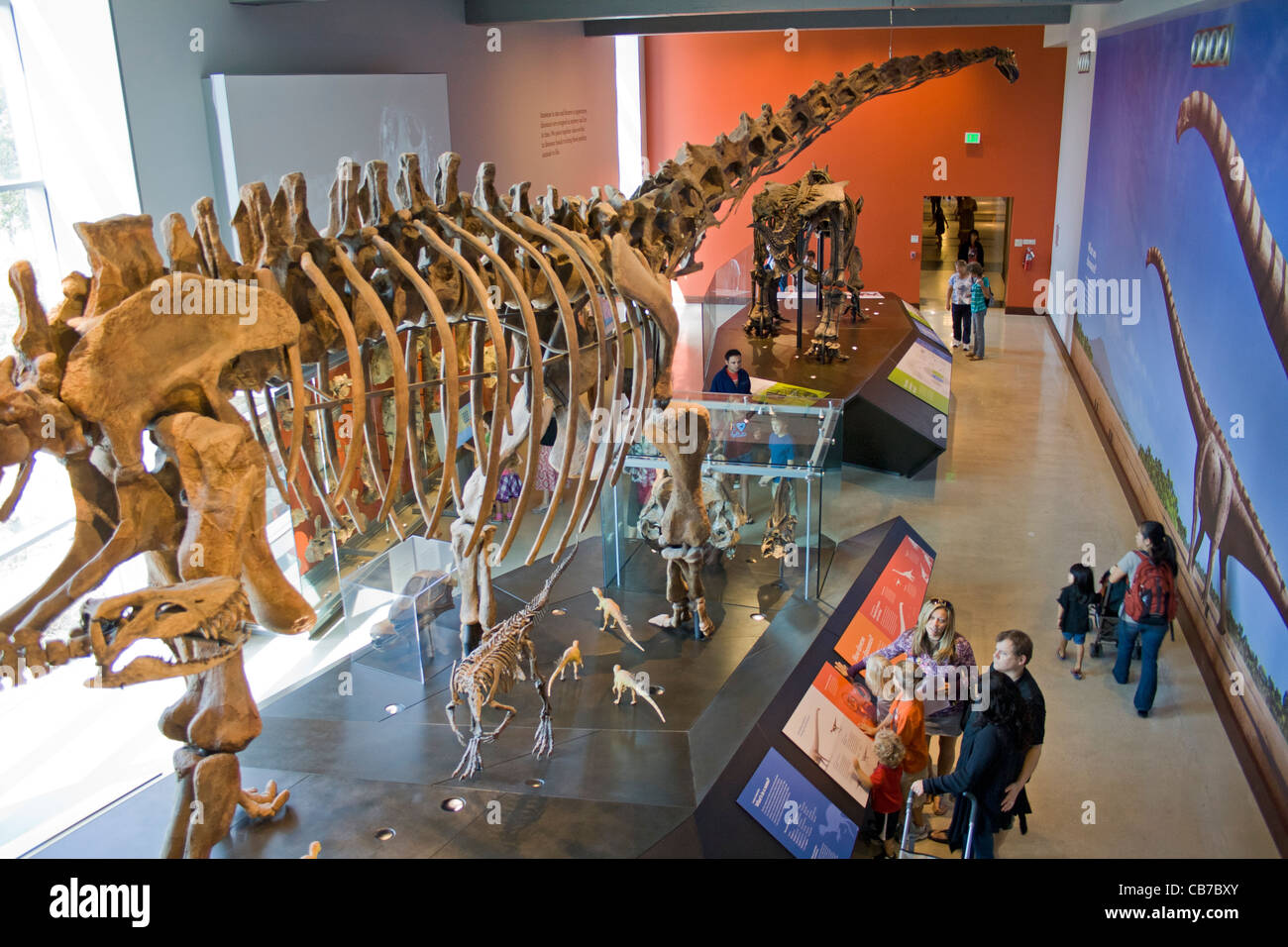 Sauriersaal, Natural History Museum, Los Angeles, Kalifornien, USA Stockfoto