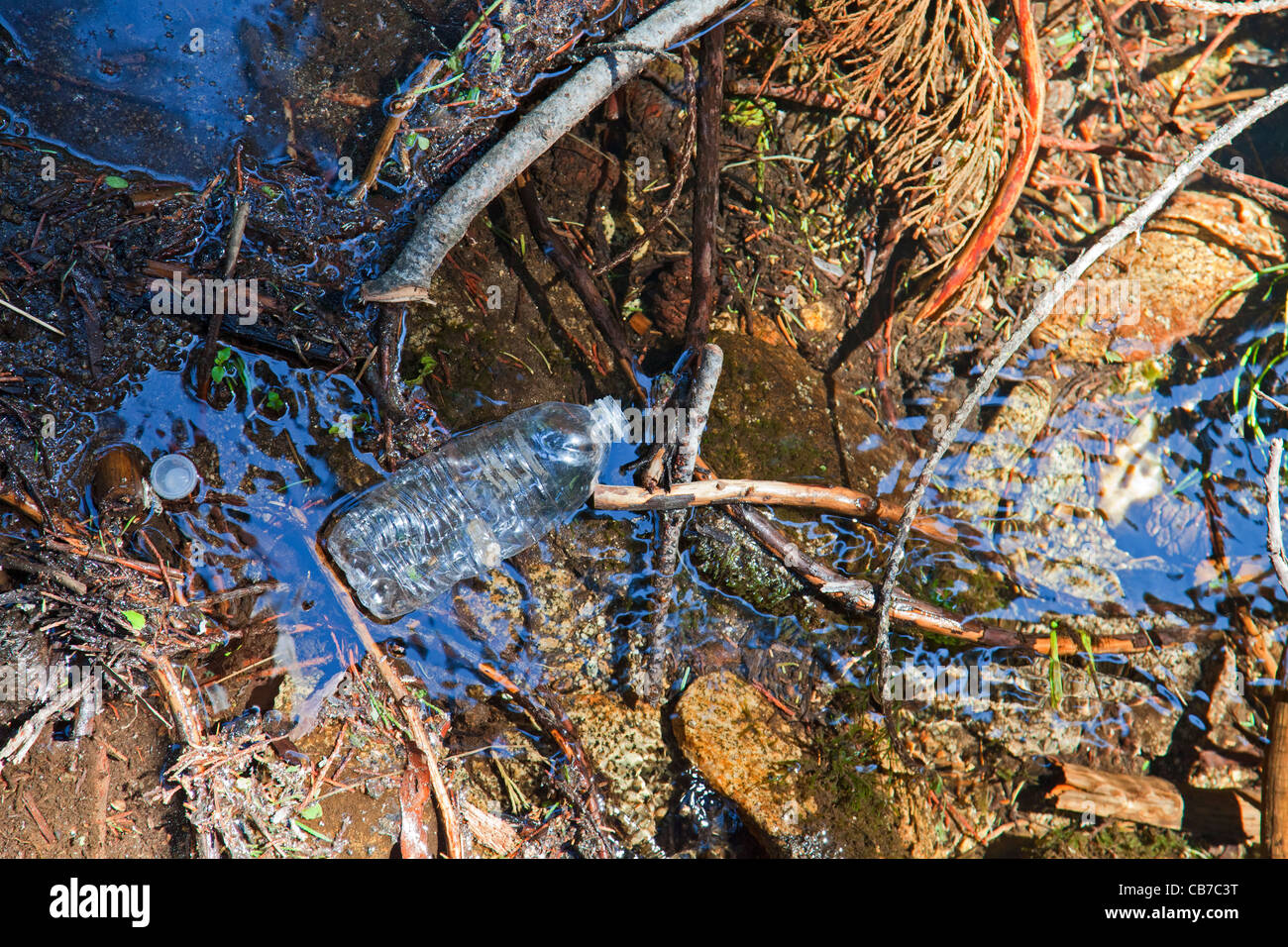 Plastikflasche Wasser in Strom, Sequoia Nationalpark, Kalifornien, USA Stockfoto
