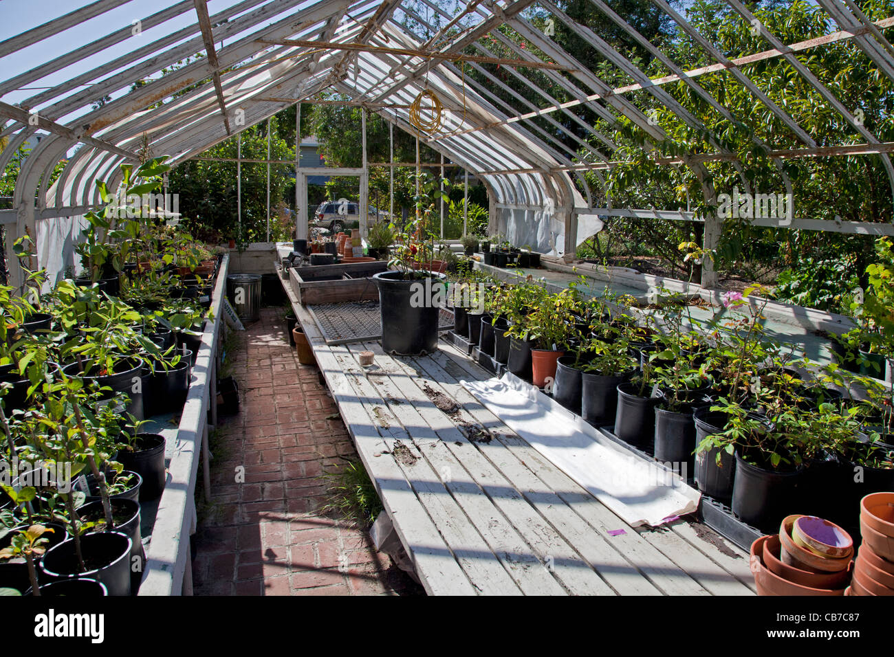 Die Learning-Garten an Venedig High School, Venice, Kalifornien Stockfoto