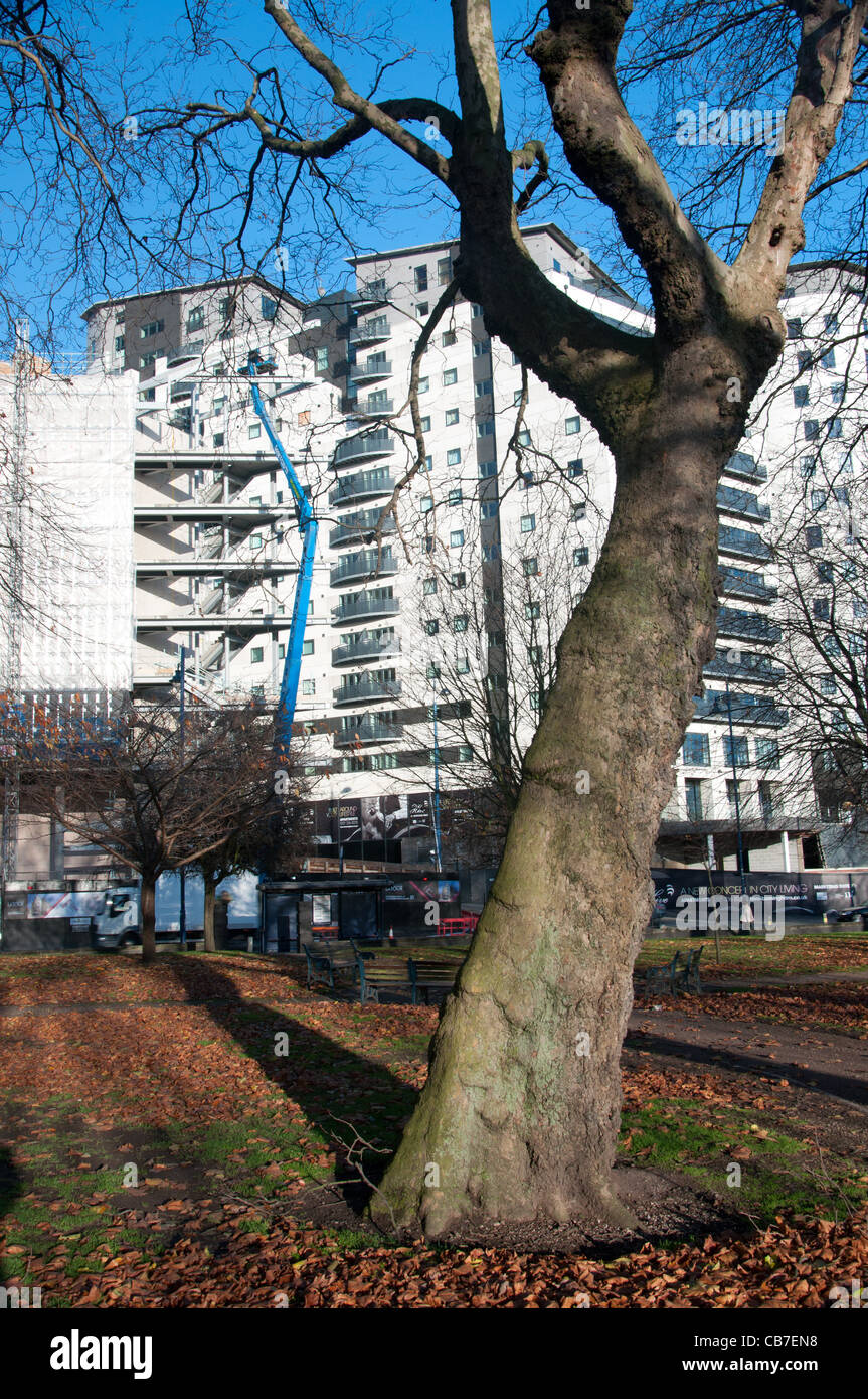 Kopieren die Form eines Baumes Kran Stockfoto