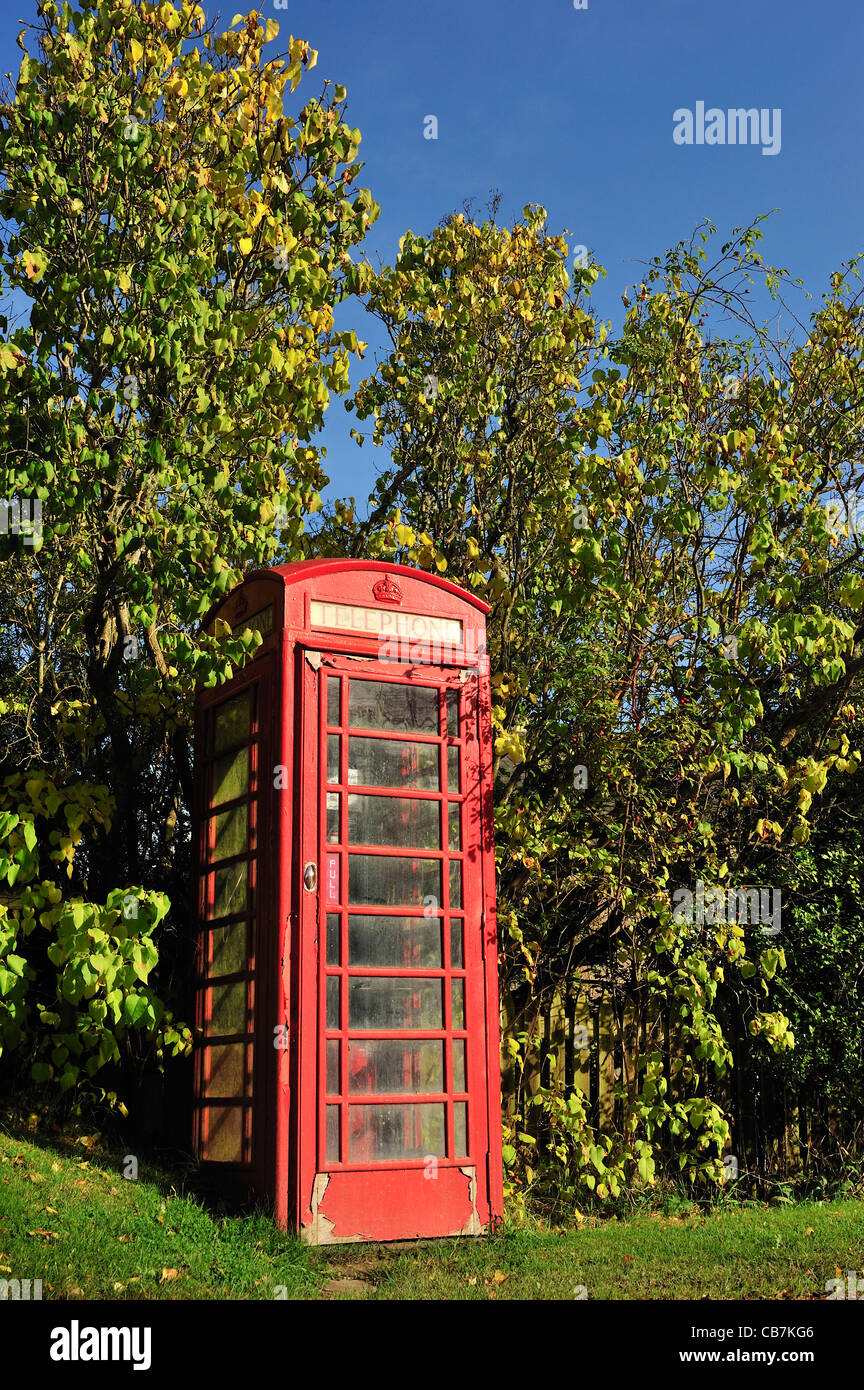 Rote Telefonzelle in Angus in der Nähe von Kirriemuir Stockfoto