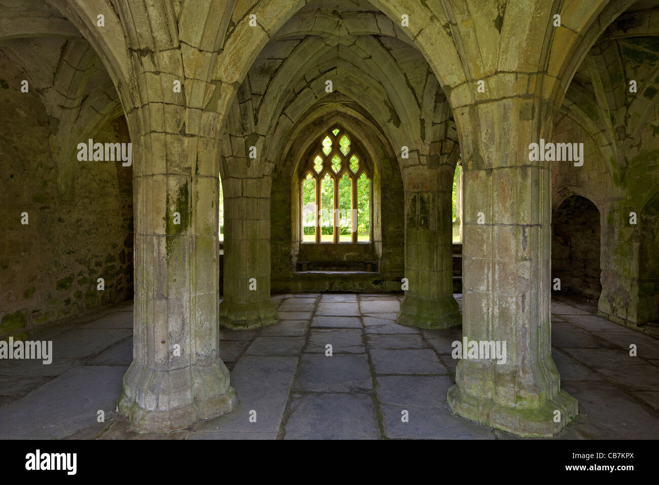 Gewölbten Kapitelsaal im Valle Crucis in Llantysilio, in der Nähe von Llangollen, Wales, Cymru, UK, Vereinigtes Königreich, Stockfoto