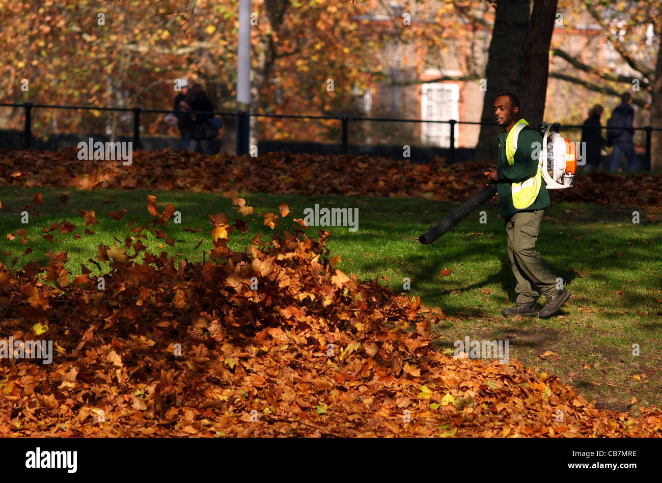 Ein Gärtner in St James Park, London Clearing Blätter mit einem Rucksack Laubbläser Stockfoto