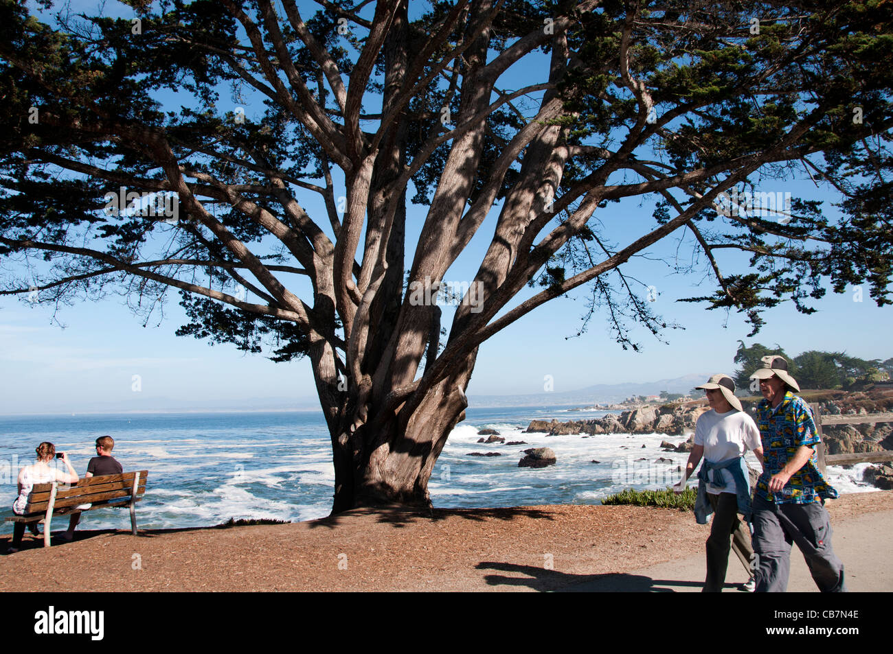 Carmel Meer Strand Felsen Wellen Big Sur, Kalifornien Vereinigte Staaten Stockfoto