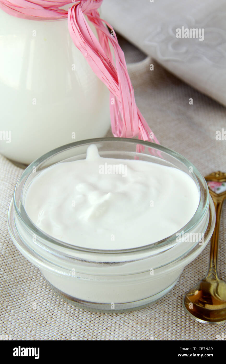 fermentierte Milch Produkt saure Sahne in eine weiße Tasse Stockfoto