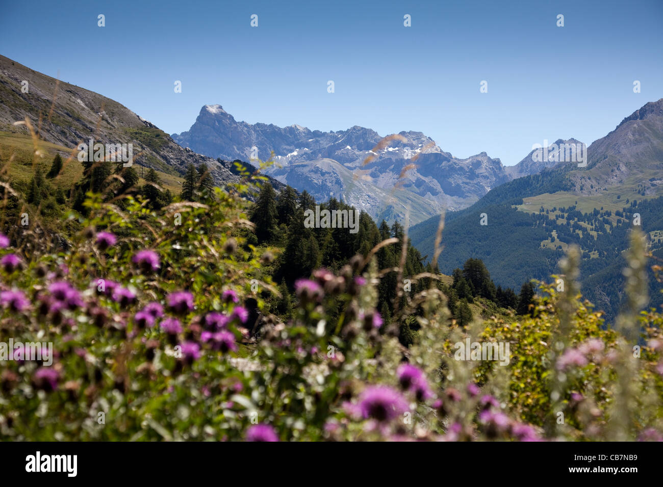 Aussicht auf Berge und französische Landschaft, Südosten Frankreichs. Stockfoto