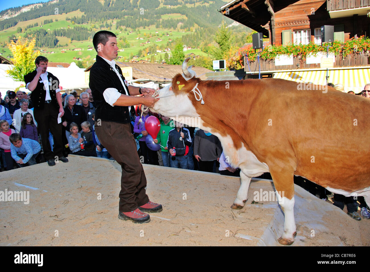Schweizer Bauer, seine Kuh eine Rampe (es war eine Preisträgerin und auf die Bühne gehen musste) zieht Stockfoto