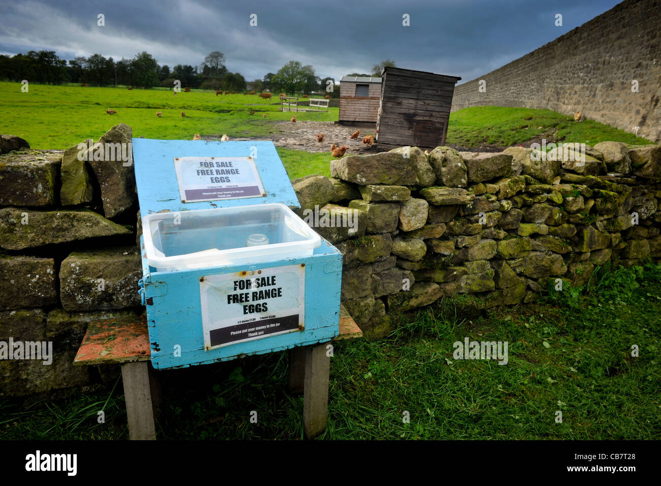 Eiern zum Verkauf neben dem Leeds-Liverpool-Kanal in der Nähe von Skipton, Yorkshire, Großbritannien. Stockfoto