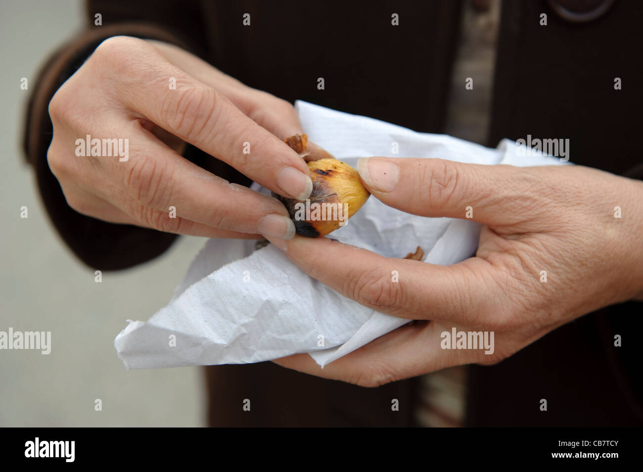 Hände von Frau gebratene Kastanien schälen Stockfoto