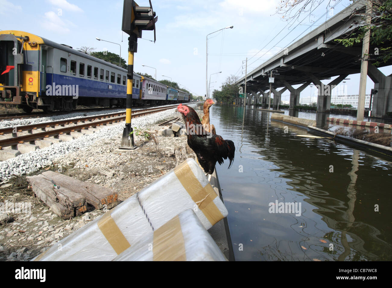 Hochwasser auf Straße in der Nähe von inländischen Flughafen Don Muang in Bangkok Stockfoto