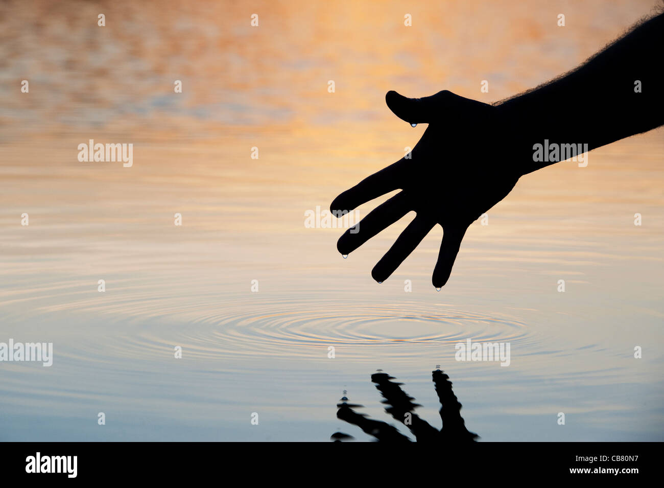 Hand zu berühren Wasser verursacht Welligkeit bei Sonnenaufgang silhouette Stockfoto