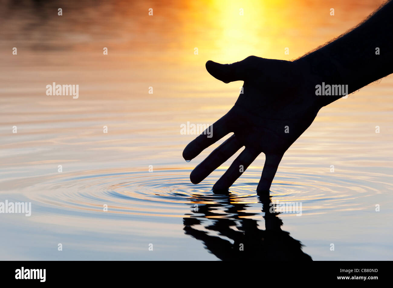 Hand zu berühren Wasser verursacht Welligkeit bei Sonnenaufgang silhouette Stockfoto