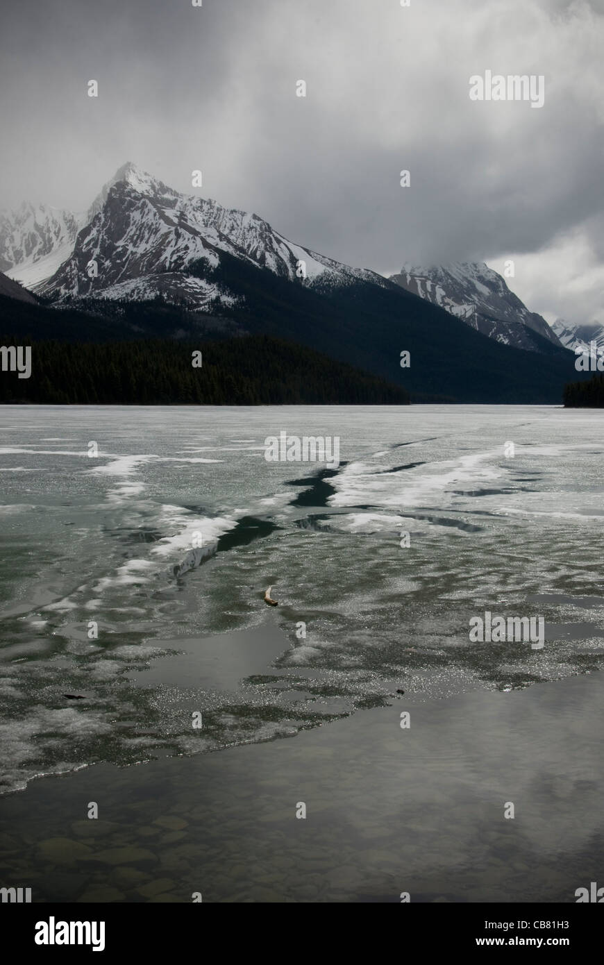 Eis am Maligne Lake, Jasper, Alberta, Kanada Stockfoto